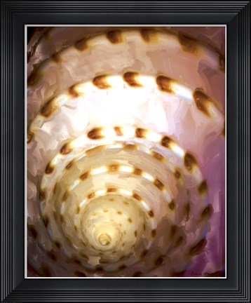 Framed Shell Extraction I Print