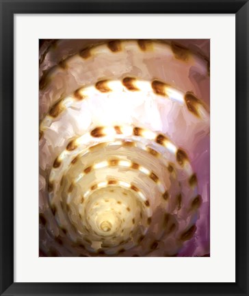 Framed Shell Extraction I Print