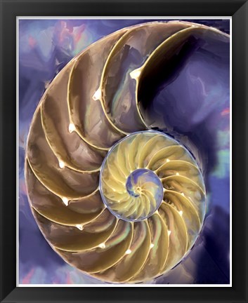 Framed Shell Extraction II Print