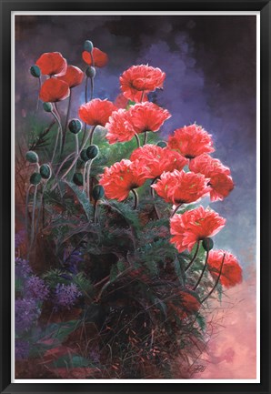 Framed Vibrant Poppies Print