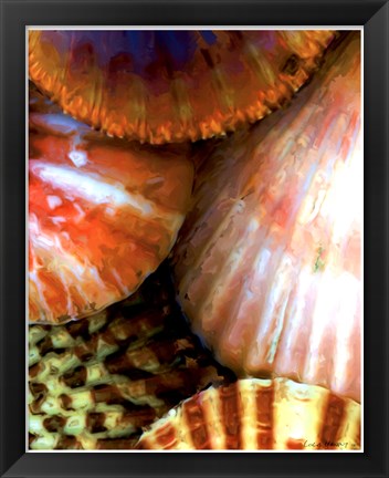 Framed Shell Extraction III Print