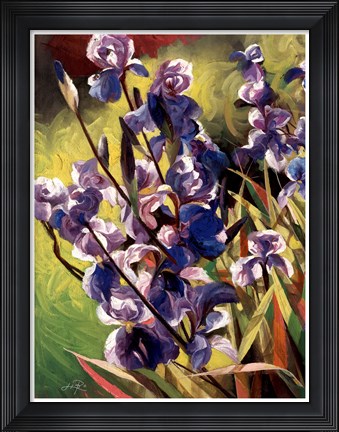 Framed Iris Garden I Print