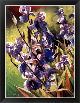 Framed Iris Garden I Print