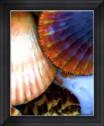 Framed Shell Extraction IV Print