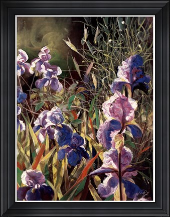 Framed Iris Garden II Print