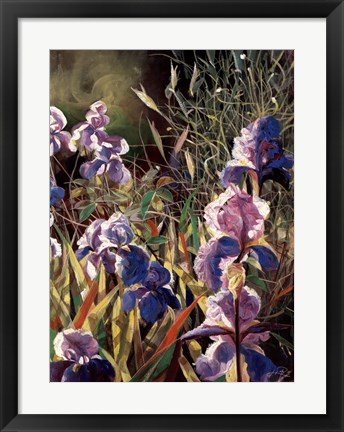 Framed Iris Garden II Print