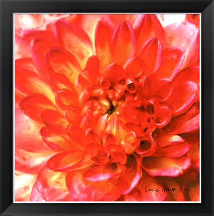 Framed Painterly Flower II Print