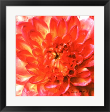 Framed Painterly Flower II Print