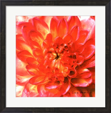 Framed Painterly Flower II Print