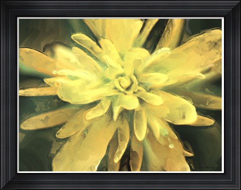 Framed Painterly Flower VII Print