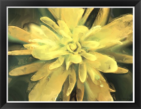 Framed Painterly Flower VII Print