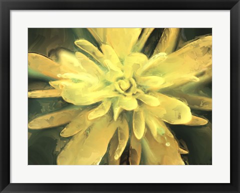 Framed Painterly Flower VII Print