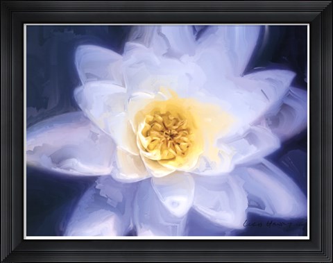 Framed Painterly Flower III Print