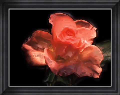 Framed Painterly Flower IV Print
