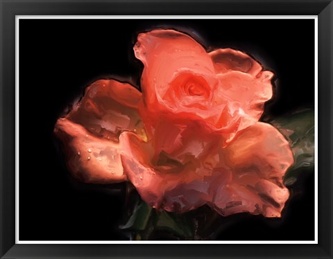 Framed Painterly Flower IV Print