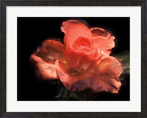 Framed Painterly Flower IV Print