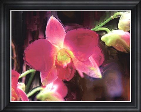 Framed Painterly Flower V Print