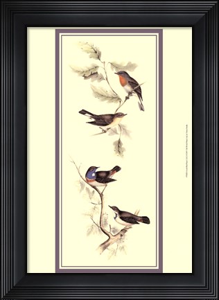 Framed Gould Bird Panel I Print
