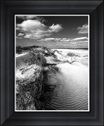 Framed Dune Swale Print