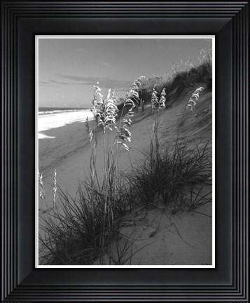 Framed Sea Oat Sparkle Print
