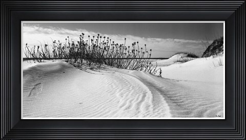 Framed Serebe Shorline Print