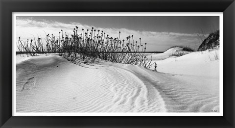 Framed Serebe Shorline Print