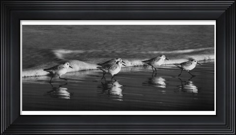 Framed Five Friends Print