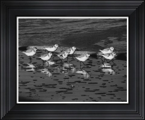 Framed Family Reunion Print