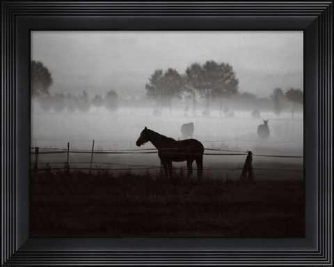 Framed Grazing in the Mist Print