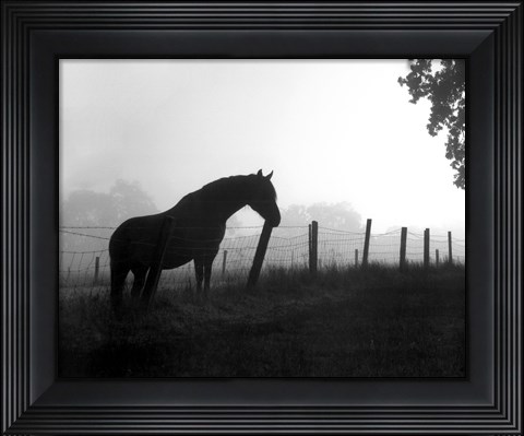 Framed Morning Pasture Print