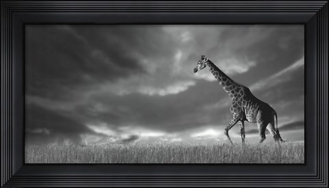 Framed Giraffes, African Skies Print