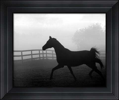 Framed Morning Pasture II Print