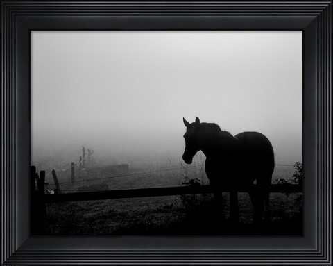 Framed Grazing in the Mist II Print