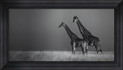 Framed African Skies II Print