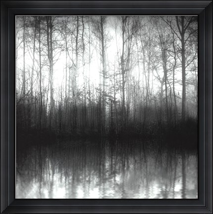 Framed Forest Mist Print