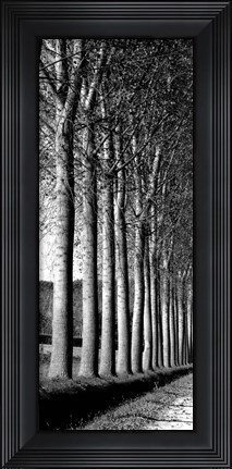 Framed Oak Lane Print