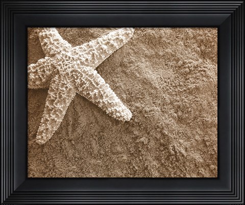Framed Starfish in the Sand Print