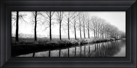 Framed Trees Along the Canal Print