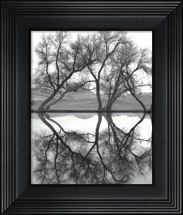 Framed Clarity in the Waters Print