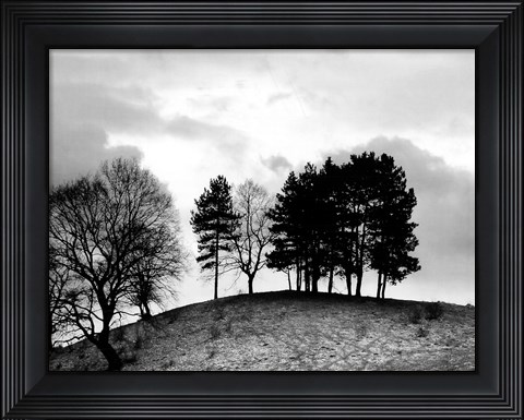 Framed Trees on Hill Print