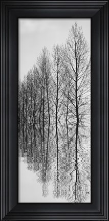 Framed Reflections II Print