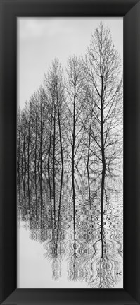 Framed Reflections II Print