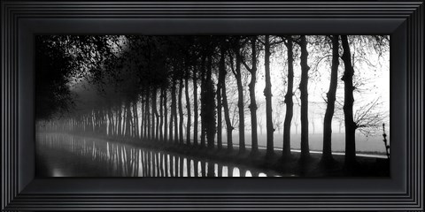 Framed Tree Lined Canal Print