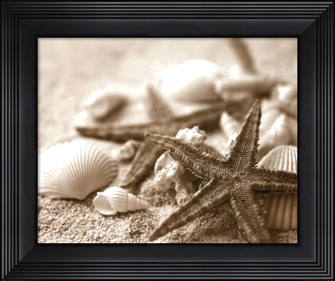 Framed Starfish and Seashells Print