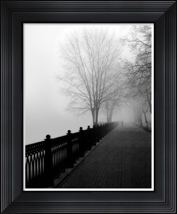Framed Promenade in the Mist Print