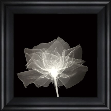 Framed Layered Veil Print