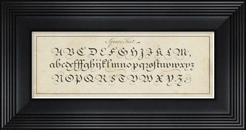 Framed Manuscript Sampler III Print