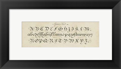 Framed Manuscript Sampler III Print