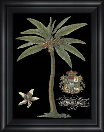Framed Palm on Black I Print