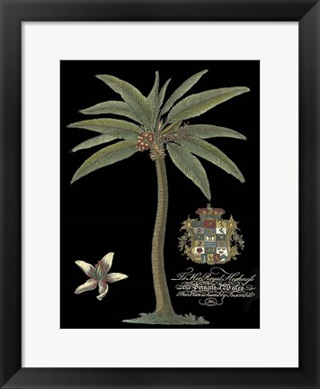 Framed Palm on Black I Print